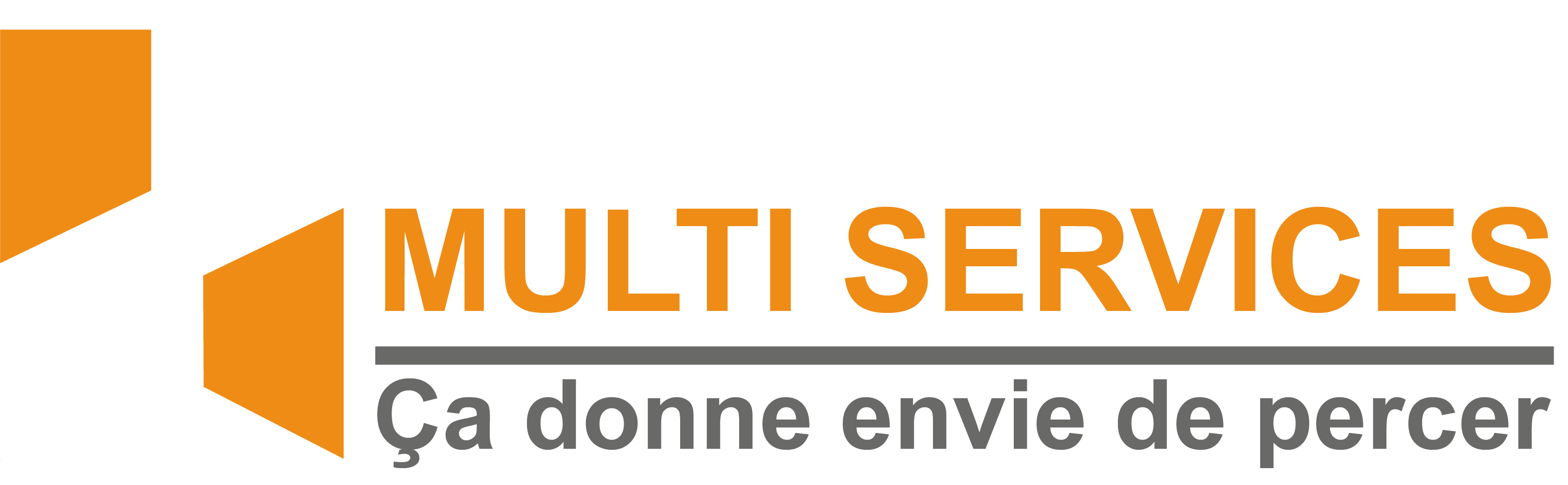 LOGO HAMIDOUSIF